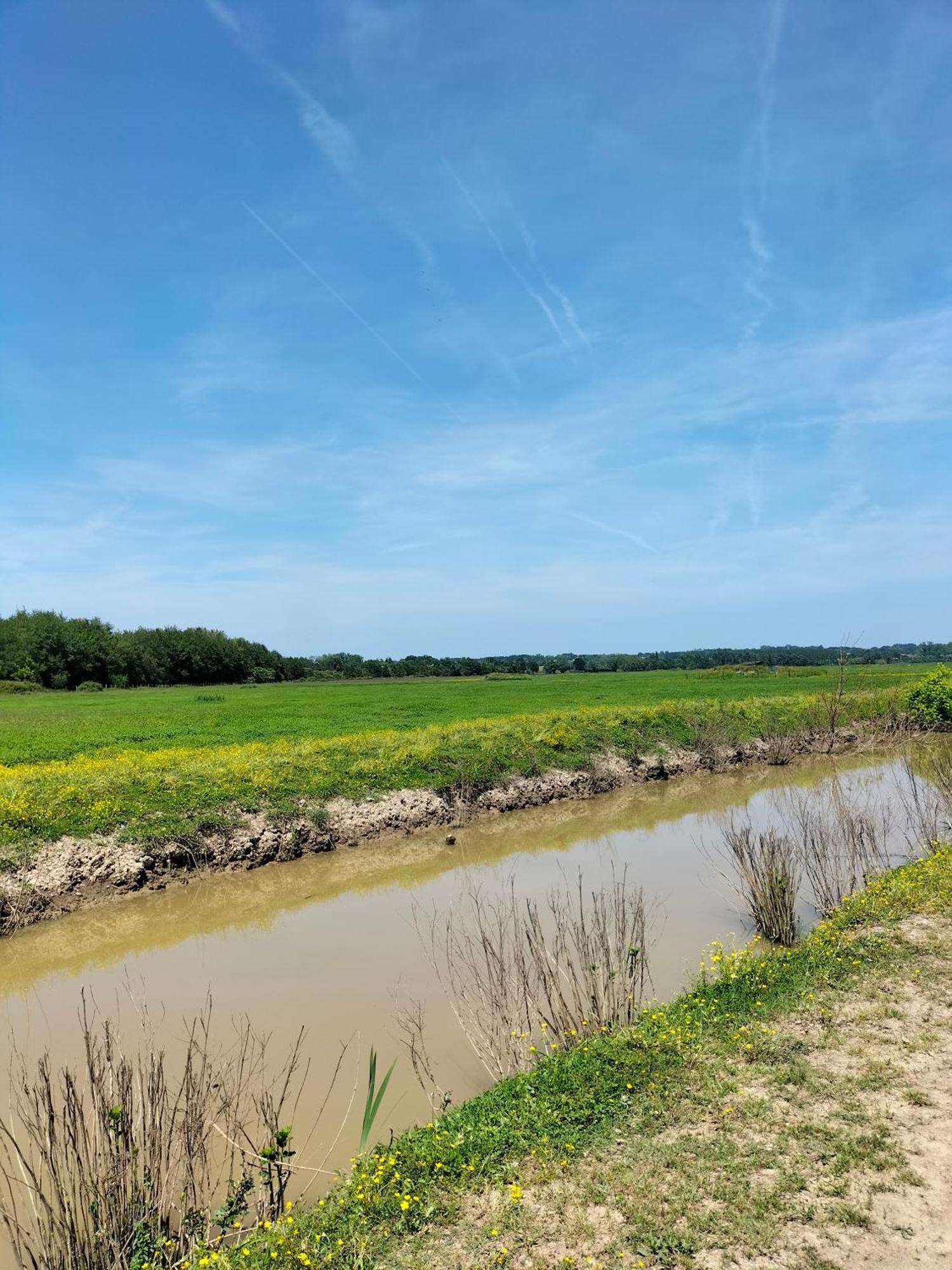 Studio Proche Des Thermes, Des Barthes, Des Plages Et De Dax ! Saubusse Esterno foto